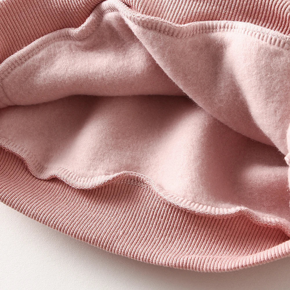 Embroidery Thicken Fleece Warm Sweatshirt